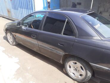 садовый измелчитель: Opel Omega: 1995 г., 3 л, Механика, Бензин, Седан