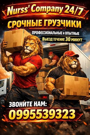 Грузчики: Грузчик. Больше 6 лет опыта — 1