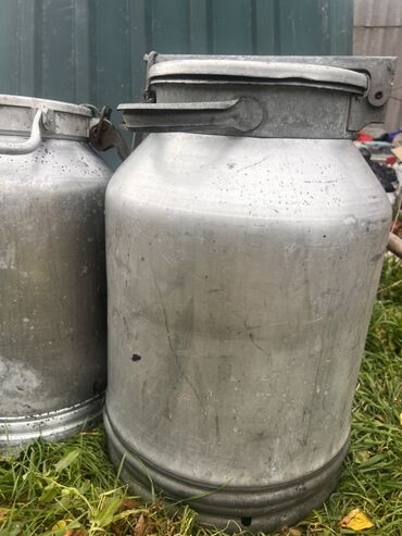 цветы искусственные бишкек: Алюминиевые молочные фляги с герметичными крышками-замками. Основные