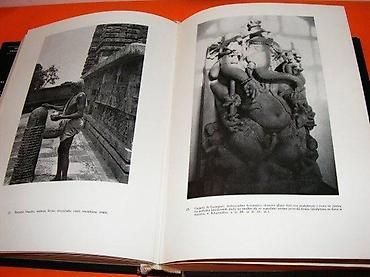 Knjige, audio i video formati: Stara indijska književnost : sanskrtska, palijska i prakrtska Izdavač — 4