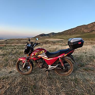 мото 300: Классический мотоцикл Honda, 150 куб. см, Бензин, Взрослый, Новый — 5