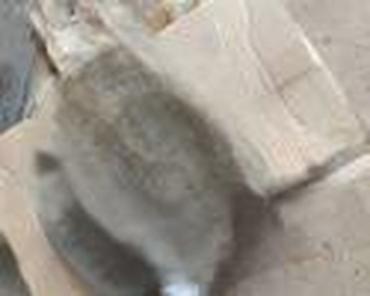 imt kosacica: VENTILATOR KABINE ZA OPEL SIGNUM, VECTRA C OD 2001. DO 2007. GOD. | — 5