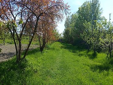 Həyət evi alıram: 🚨TƏCİLİ SATILIR. 📍 Ünvan: Göyçay rayonu, Çaxırlı kəndi 🔹 2 otaqlı ev — 12