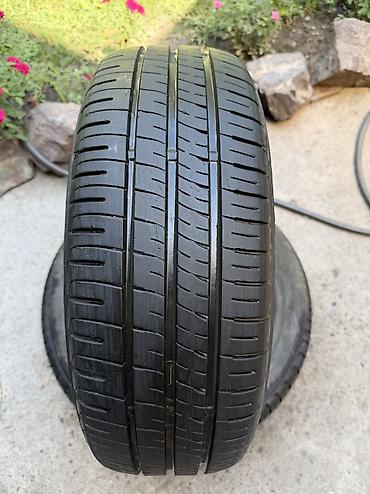 5500: Шины 195 / 55 / R 16, Лето, Б/у, Пара, Легковые, Япония, Dunlop — 2