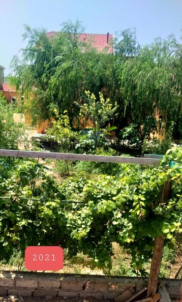 2 tonluq su çəni: Binə 12 otaq, 9 kv. m, Kredit yoxdur, Yeni təmirli