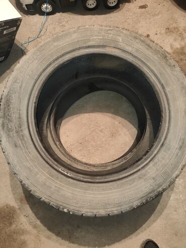 покрышка зимный: Шиналар 205 / 60 / R 16, Кыш, Жуп, Жеңил унаалар, GoodYear