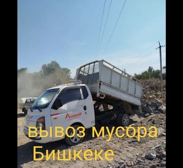 Другие животные: ВЫВОЗ МУСОР 🗑 ВЫВОЗ МУСОР 🗑 ВЫВОЗ МУСОР 🗑 ВЫВОЗ МУСОР 🗑 ВЫВОЗ МУСОР 🗑