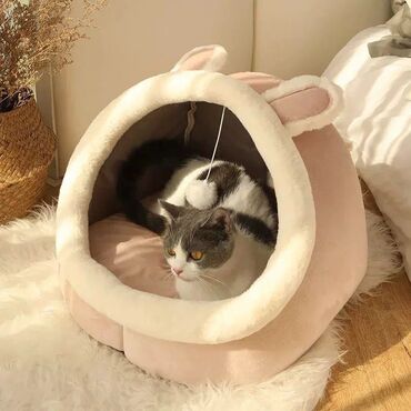 кошка шатланская: Лежанка для кошки, размер XL, покупали котенку, не хочет лежать в