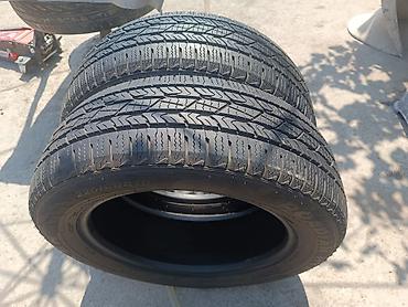 235 65 16: Məhsul: avtomobil şinləri (2 dəd dəst). - Ölçü: 225/60R18 (yan — 3