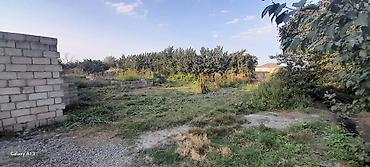 xırdalan torpaq satışı: 6 sot, Tikinti, Mülkiyyətçi, Kupça (Çıxarış) — 6