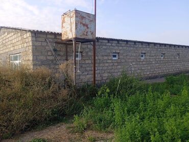 Torpaq sahələrinin satışı: 40 sot, Kənd təsərrüfatı, Mülkiyyətçi, Kupça (Çıxarış) — 10