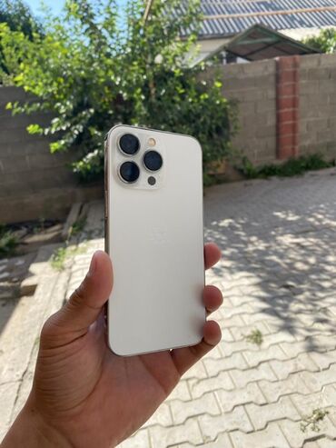 купить айпад мини 6: IPhone 13 Pro, Серебристый, Чехол