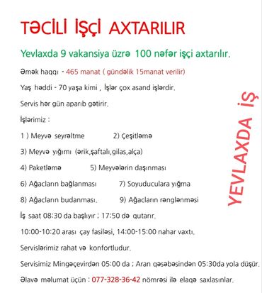 Digər ixtisaslar: TƏCİLİ İŞÇİ AXTARILIR Yevlaxda 9 vakansiya üzrə 100 nəfər işçi