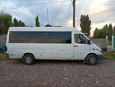 sprinter 315: Автобус, Mercedes-Benz, 2002 г., 2.9 л, 16-21 мест — 1