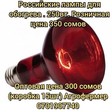 инфракрасный лампа: Инфракрасные лампы российского производства . Подходят для обогрева