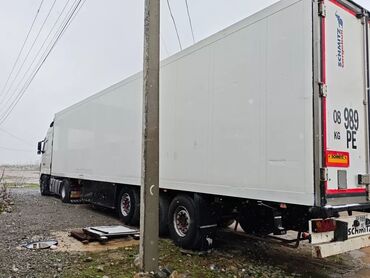 Прицепы и полуприцепы: Прицеп, Schmitz Cargobull, Рефрижератор, от 12 т, Б/у