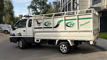 дефлекторы: Hyundai Porter: 2003 г., 2.6 л, Механика, Универсал — 5