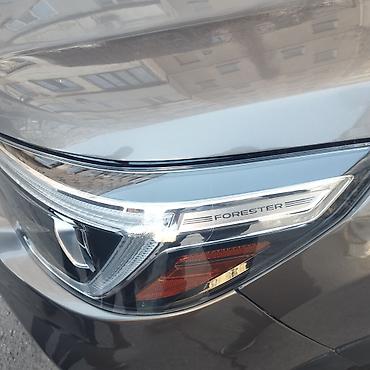 Subaru: Subaru Forester: 2020 г., 2.5 л, Автомат, Бензин, Кроссовер — 19