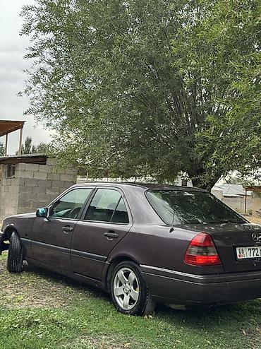 Транспорт: Mercedes-Benz C-Class: 1994 г., 2.8 л, Механика, Бензин — 3