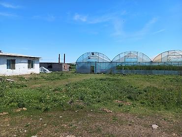 Продажа сельхоз предприятий: Кошара, 1500 соток, Действующий, С оборудованием, Электричество, Канализация, Отопление — 10