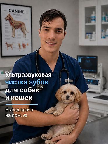 Работа: Требуется Ветеринар, Оплата: Сдельная — 1