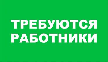 работа водителем на авто компании: Талап кылынат Өндүрүшкө кара жумушчу, Төлөм Ай сайын, Тажрыйбасыз