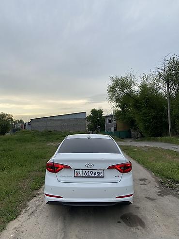 byd son: Hyundai Sonata: 2019 г., 2 л, Автомат, Газ, Седан — 10