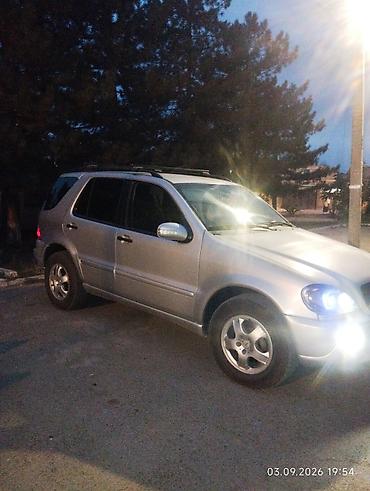 возможен обмен на дом: Mercedes-Benz ML-Class: 2003 г., 2.7 л, Автомат, Дизель, Кроссовер — 3