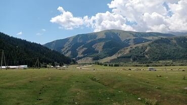 Продажа участков: 30 соток, Для бизнеса, Тех паспорт — 6