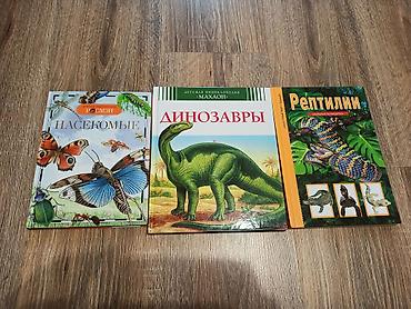 рисую: Все книги в идеальном состоянии, не рваные, как будто новые. Маленькие — 9