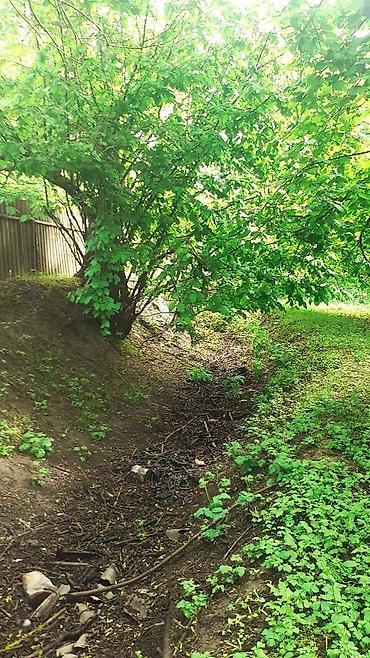 купить участок в баку: 30 соток, Для строительства, Собственник, Купчая — 2