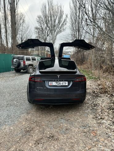 Tesla: Tesla Model X: 2020 г., 0.1 л, Механика, Электромобиль, Кроссовер — 6
