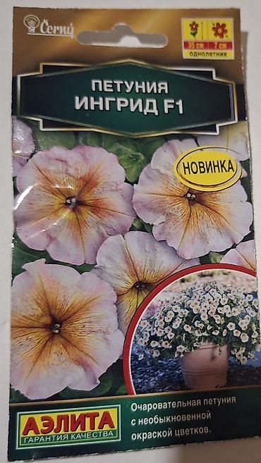tut agaci calaq: Məhsul: Petuniya toxumları – AELITA (garantiya keyfiyyəti), bəzi — 7