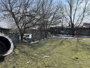 Torpaq sahələrinin satışı: 12 sot, Kənd təsərrüfatı, Mülkiyyətçi, Kupça (Çıxarış) — 10