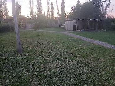 ΠΡΠΎΠ΄Π°ΠΆΠ° ΠΊΠΎΡΡΠ΅Π΄ΠΆΠ΅ΠΉ ΠΈ Π΄ΠΎΠΌΠΎΠ²: 4 ΠΊΠΎΠΌΠ½Π°ΡΡ, 60 ΠΌΒ², 28 ΡΠΎΡΠΎΠΊ, ΠΠΎΠ»ΡΠ°Π²ΠΊΠ° at lalafo.kg β 11 ΠΡΠΎΠ΄Π°ΠΆΠ° ΠΊΠΎΡΡΠ΅Π΄ΠΆΠ΅ΠΉ ΠΈ Π΄ΠΎΠΌΠΎΠ²: 4 ΠΊΠΎΠΌΠ½Π°ΡΡ, 60 ΠΌΒ², 28 ΡΠΎΡΠΎΠΊ, ΠΠΎΠ»ΡΠ°Π²ΠΊΠ° β 11