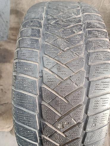 d 110: Шины 205 / 50 / R 16, Зима, Б/у, 1 шт, Легковые, Dunlop — 1