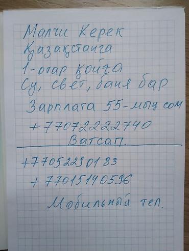 час сутки: Вакансия: пастух (скотовод) в Казахстане - Работа на 1 отар овец - — 1