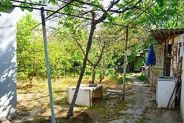 bağca satılır: Bağ evi və torpaq sahəsi - Geniş həyət: yaşıllıqla əhatəli, meyvə — 7