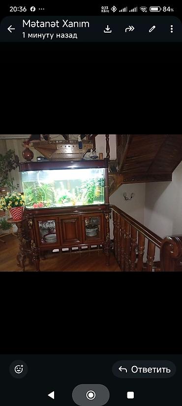 Akvariumlar: Akvaryum dəsti – klassik taxta konsol üzərində böyük şüşə akvaryum - — 1