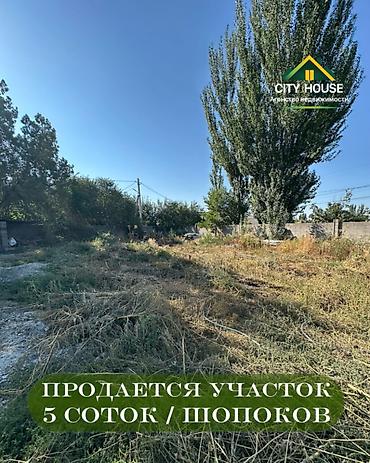 5: 5 соток, Для строительства, Договор купли-продажи, Красная книга — 1