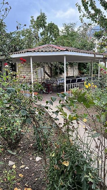 Bağ evlərinin kirayəsi: Katedj nabranda — 8