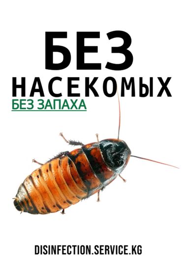 услуги клининга: Дезинфекция, дезинсекция, | Блохи, Клопы, Муравьи, | Дома, Кафе, магазины, Квартиры