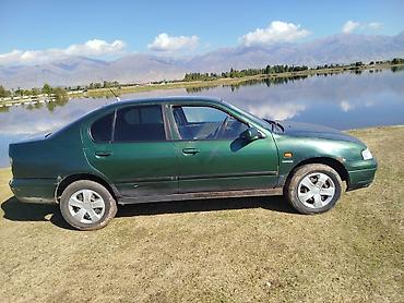 фара опель вектра б: Nissan Primera: 1999 г., 1.6 л, Механика, Бензин, Седан — 3