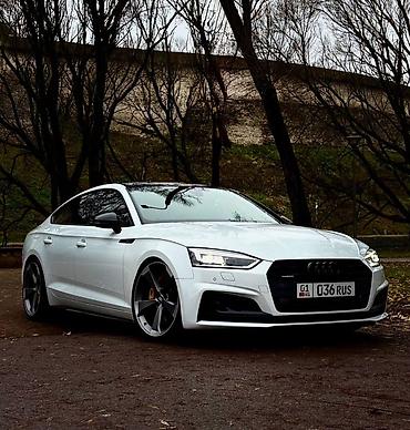 стейдж: Audi A5: 2019 г., Лифтбек — 6