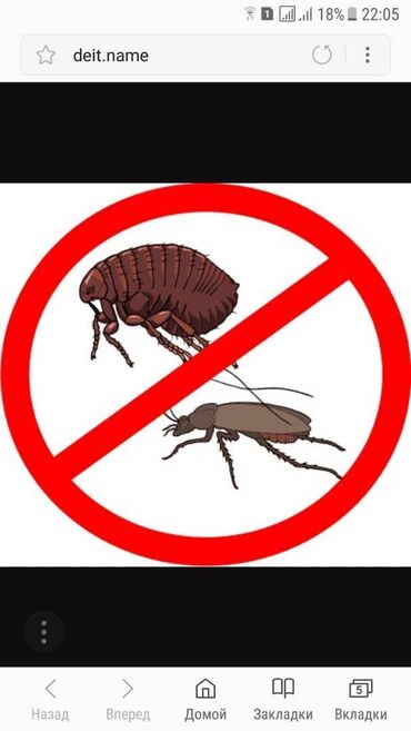 Дезинфекция, дезинсекция: Поможем избавиться от клопов и тараканов!!! Берем на обслуживание