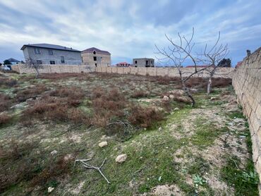 Torpaq sahələrinin satışı: 12 sot, Tikinti, Mülkiyyətçi, Kupça (Çıxarış)