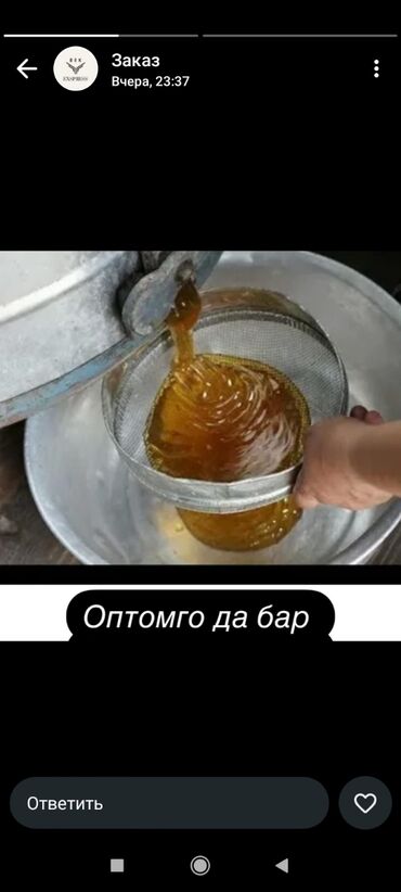фитолампы для растений бишкек: Продаём натуральный мёд 600сом по кг