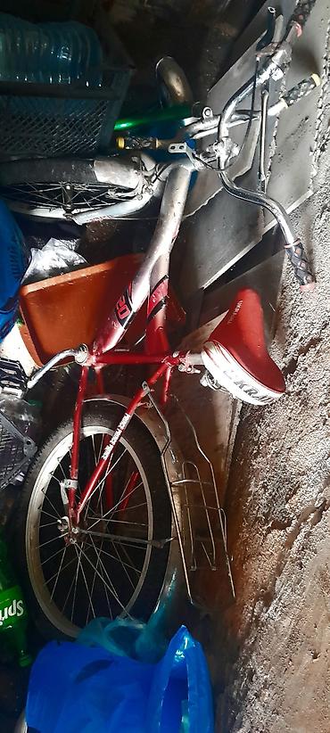 interaktiv oyuncaq itlər: Velosiped — 1