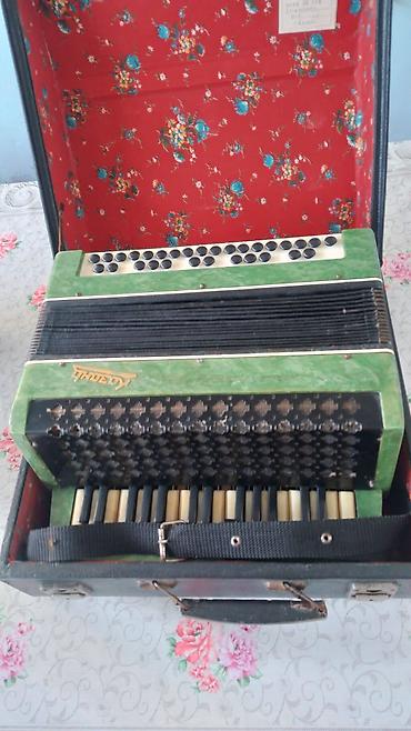 İdman və hobbi: Akustik Akkordeon, İşlənmiş — 1