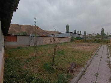 Продажа коттеджей и домов: Срочно!!! Дёшево! Таш Добо, с. Бер Булак, ул. Саткыналиева, 18 — 15